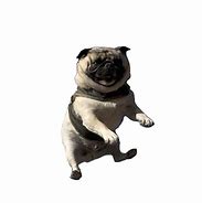 Image result for Pug Phone Case