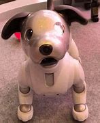 Image result for Aibo Brown