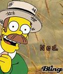 Image result for Ned Flanders Screaming