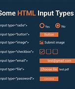 Image result for Input Type Radio HTML