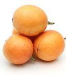 Image result for Tropical Fruit