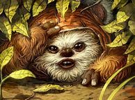 Image result for Ewok Artwork