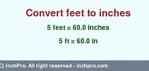 Image result for 5FT in Inches