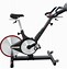 Image result for Schwinn Stationary Bike