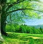 Image result for Simple Summer Wallpaper 1920X1080