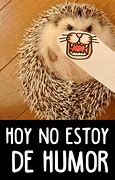 Image result for Frases Chistosas