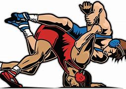 Image result for Free Wrestling