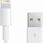 Image result for iPhone Lightning Cable Strip Shape