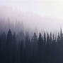 Image result for Green Forest Aesthetic Laptop