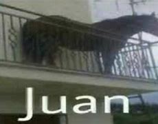 Image result for Shit Juan