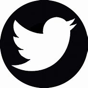 Image result for Twitter Logo On iPhone Black