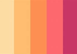 Image result for Gold and Peach Color Palette