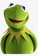 Image result for Kermit the Frog Grimace Face