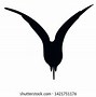 Image result for Ibis Icon