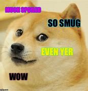Image result for Smug Dog Meme
