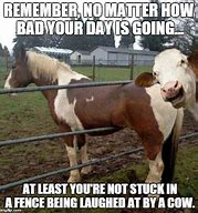 Image result for When You Have a Bad Day Funny Meme