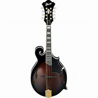 Image result for A Style Mandolin
