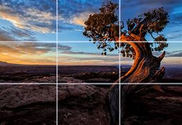 Image result for Cropping Photography Composition