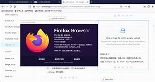 Image result for Firefox 81