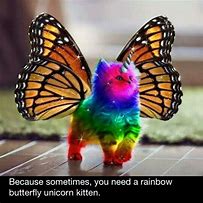 Image result for Flying Rainbow Cat