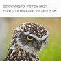 Image result for Funny Happy New Year's Eve