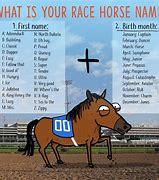 Image result for Funny Race Horse Names