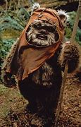 Image result for Wicket Warrick
