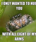 Image result for Spider Baby Meme