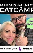 Image result for Jackson Galaxy Window Seat