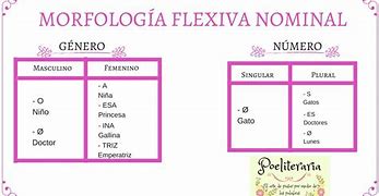 Image result for flexivo