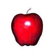 Image result for Plain Red Apple Art