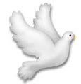 Image result for Dove Emoji Copy and Paste
