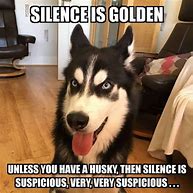 Image result for Hilarious Husky