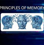 Image result for 12 Memory Princples