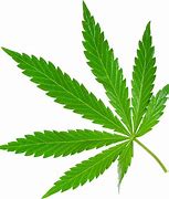Image result for Nice Weed Background