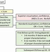 Image result for Management of Adnexal Cyst