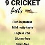Image result for Cricket Protein Ingredient List