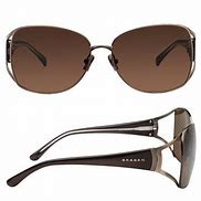 Image result for Skagen Titanium Sunglasses