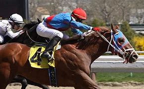 Image result for Horse Racing Pick