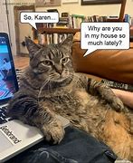 Image result for Karen and Cat but Did You Die Meme