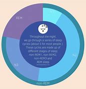Image result for Stages of Sleep Cycle Samsung Fit2