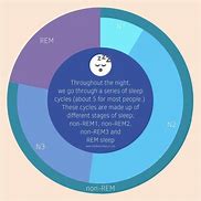 Image result for REM Sleep Cycle Stages
