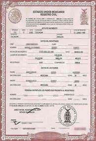 Image result for New Mexico Long-Form Birth Certificate