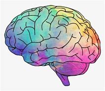 Image result for Brain Meme Stickers