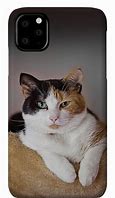 Image result for Calco Cat Phone Cases