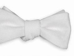 Image result for Pookie Bow Tie