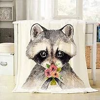 Image result for Blanket Raccoon Plush
