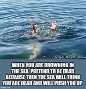 Image result for Swimming Pool Drowning Meme