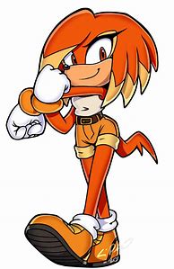 Image result for Echidna Girl Sonic