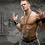 Image result for John Cena Pose